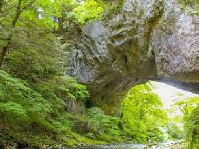 ���R�̗Y�傳_�Y��