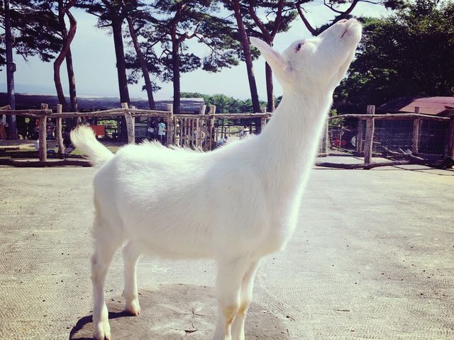 ���M��r�ƐG�ꍇ���܂��B_�ߐ{�����샖�u�q��