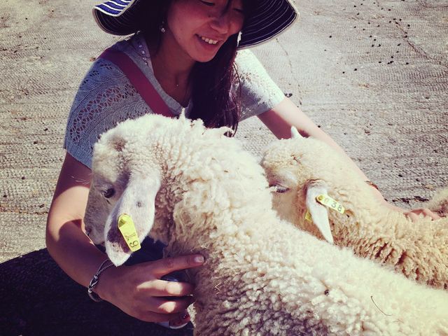 �q�c�W�Ƃ̂ӂꂠ���̌��B_�ߐ{�����샖�u�q��