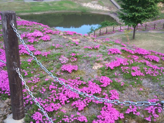 Ђ悳̑X_R̐X̓eʐ^1