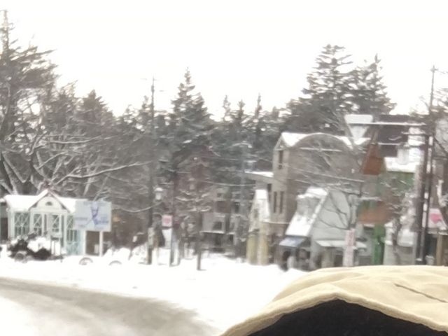 iF̋yE_iłBiS/Sj_uWF쉮 y򋌓{X