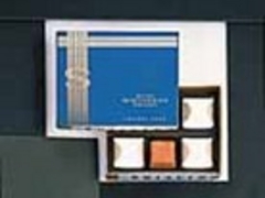 ������������̎������p�[���[ ����{�X�V���b�v�ւ̓��e�ʐ^1