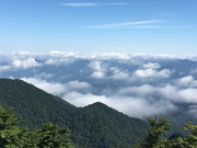 [݁[̑Pi吙Jj̓eʐ^1