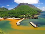 �W���C�A������̗������̓��e�ʐ^1