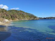 �}�b�N����̏\���l�̖荻�̓��e�ʐ^9