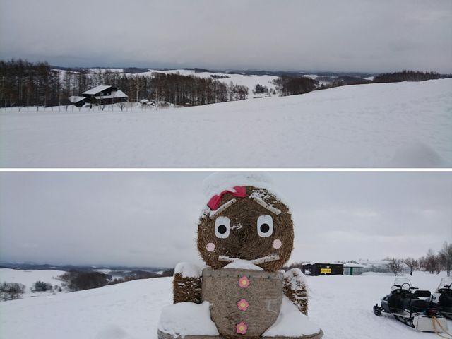 �Ԃ̎�������������_�l�G�ʂ̋u