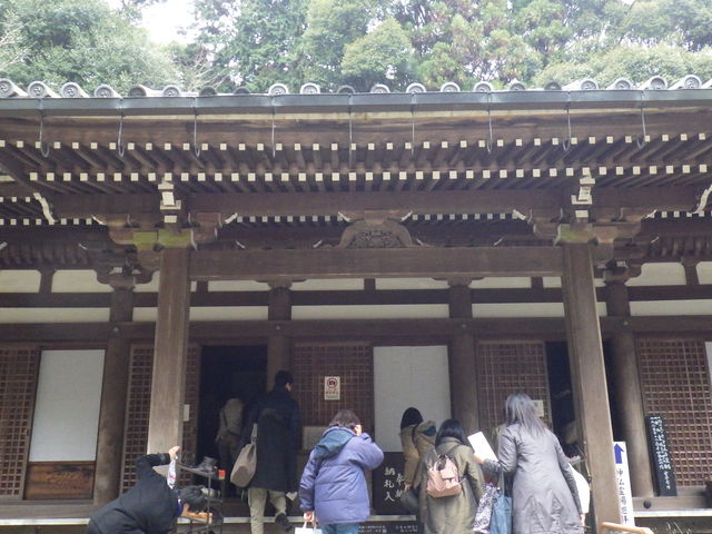 ���̒��Ɍ䕧��_��D��