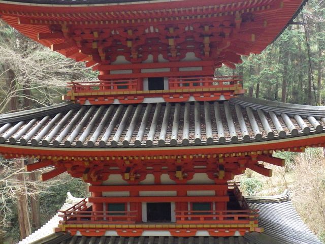 �e�w���ڂ̍�����_��D��