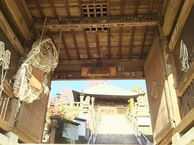 �R��ɂ́A�傫�Ȃ�炶���݂邵�Ă���܂��B_���V��