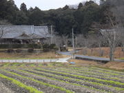 miii̊ωi䓰j̓eʐ^1