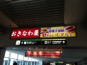 傭̂Ȃ퉮@{X̓eʐ^1