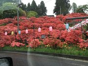 ЂЂ͂̓V_Ђ̃ccW̓eʐ^1