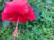 傭̉AEgbg[тȁ[̓eʐ^1