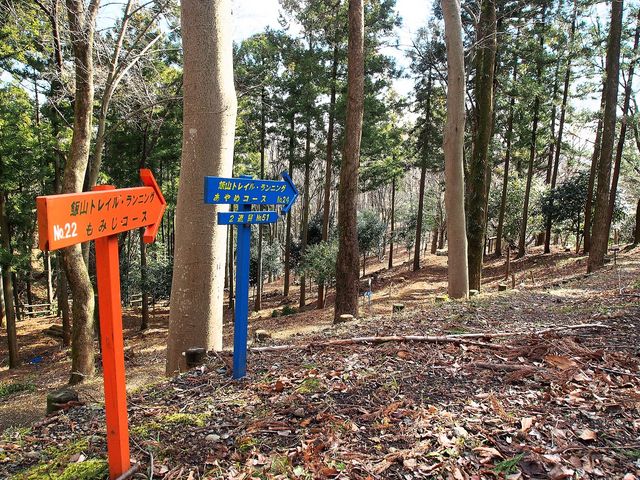 5525̔юRRXь̓eʐ^1