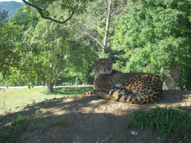 ����Ȃɋ߂��ł݂��Ȃ�āI_�H�g�䎩�R���������T�t�@�������h