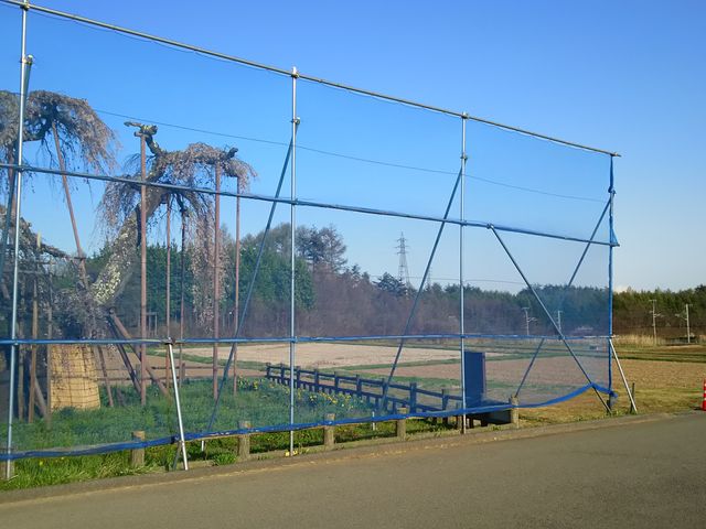 ݂Ԃ̐_c̑CgUN̓eʐ^1