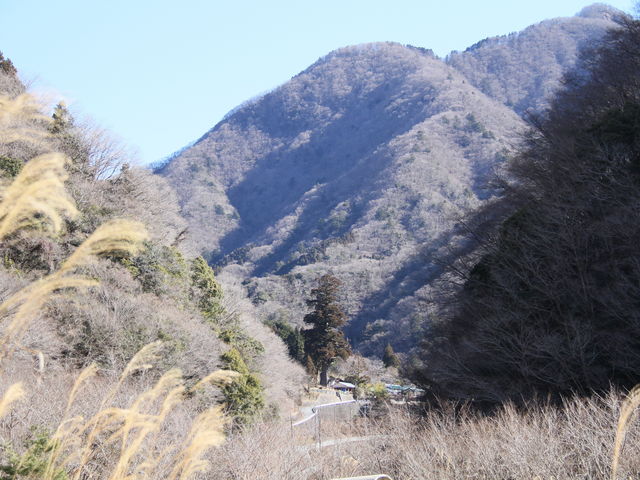 詓��𔲂���ƌ����Ă��܂�_ⴐ�