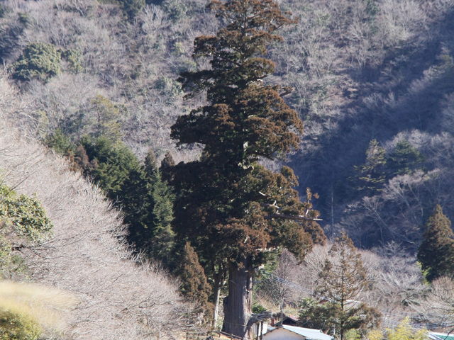 ���݊�������ⴐ�_ⴐ�