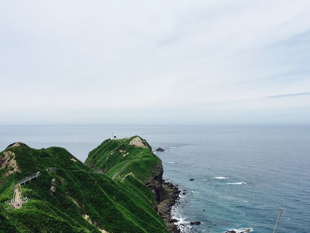 ��i_�_�Ж�