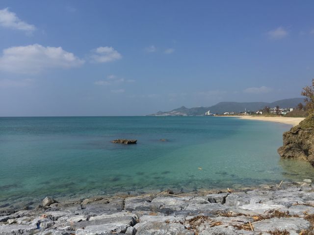 21���I�̐X�r�[�`