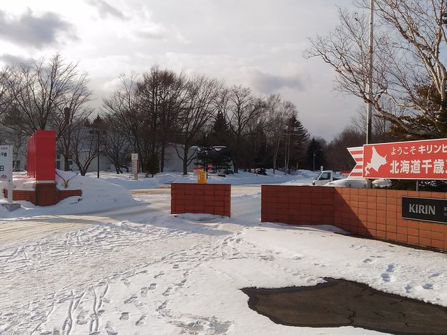 �Ⴊ����΂܂��������A�n���p�ɗn���Ă�ƍň�_�L�����r�[���i���j�k�C����΍H��