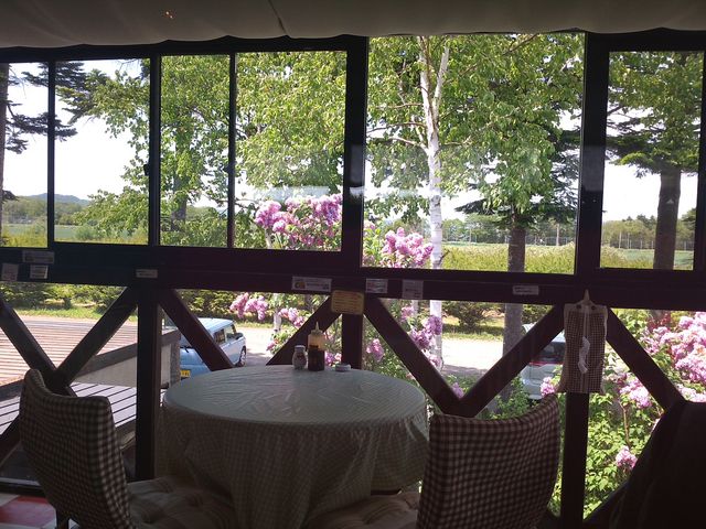 �I�V�����ȓX��_�L�b�`���t�@�[�����[�h