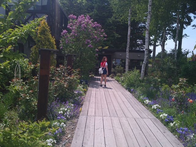 ��������Ă��ł���B_�L�b�`���t�@�[�����[�h