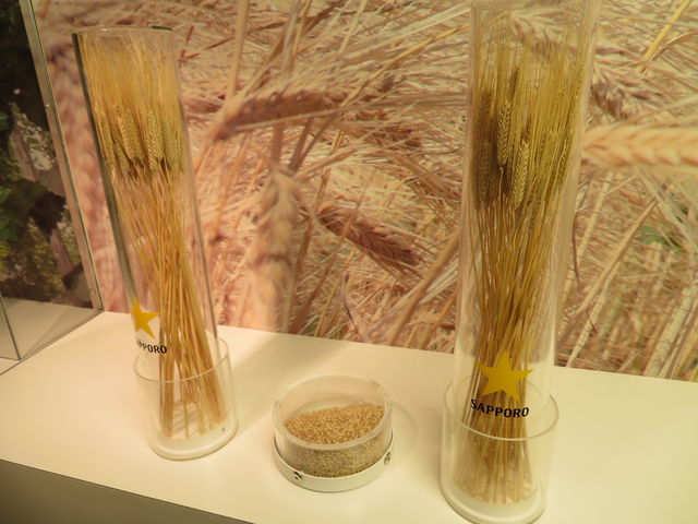 �k�C���Y�̌��ޗ����g���Ă���̂��E��_�T�b�|���r�[���i���j�k�C���H��