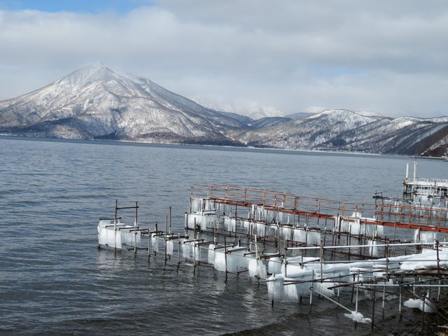 ���ɐG���Ɠ��銦���Ȃ̂ɁA�����͓̂���Ȃ��s�v�c�Ȍ�_�x┌�