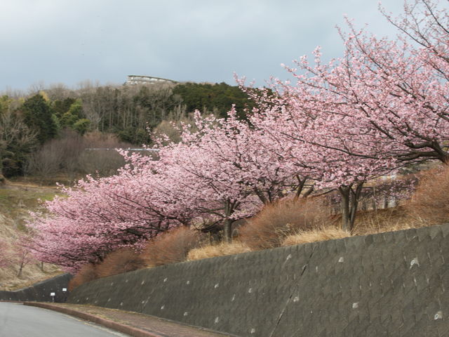 䂪TTQT̂ߌi͌^j̓eʐ^2