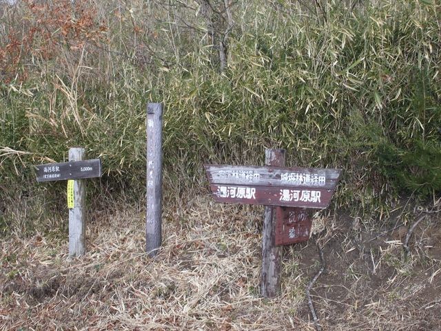 䂪TTQT̏RsNjbNOEh̓eʐ^5