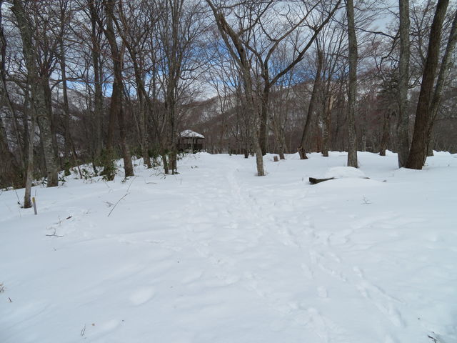 ���̂������т��쒹�̐X_�쒹�̐X