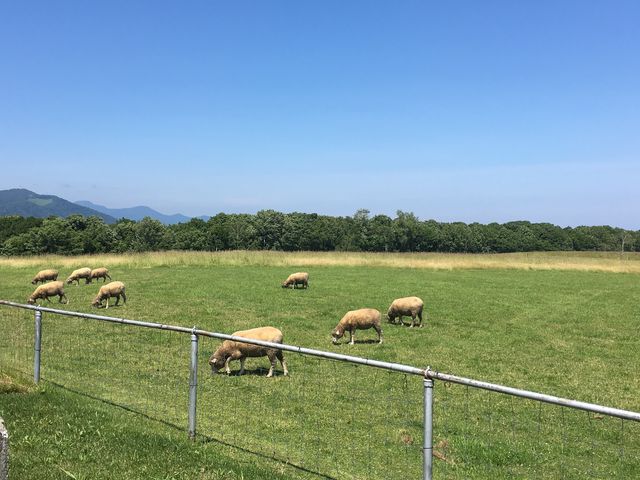 �r_�����ۂ�r���u�W�]��