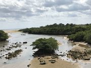 youchanp̋{ǐ̃qMт̓eʐ^2