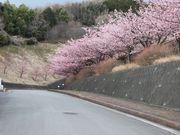 䂪TTQT̂ߌi͌^j̓eʐ^1