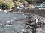 䂪TTQT̋ՃlC݂̓eʐ^1