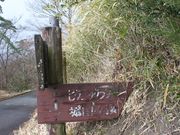 䂪TTQT̏RsNjbNOEh̓eʐ^4