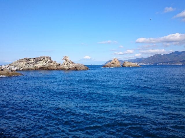 �_���E�Ε��E��n�E����C��