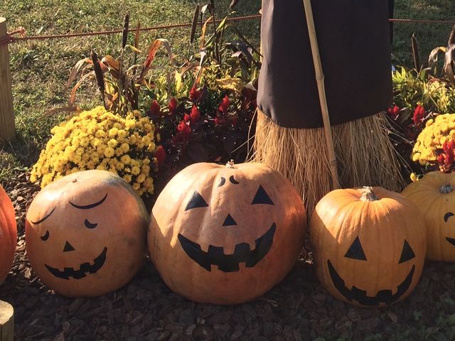 �n���E�B���̏���B_�t�����[�p�[�N�]��