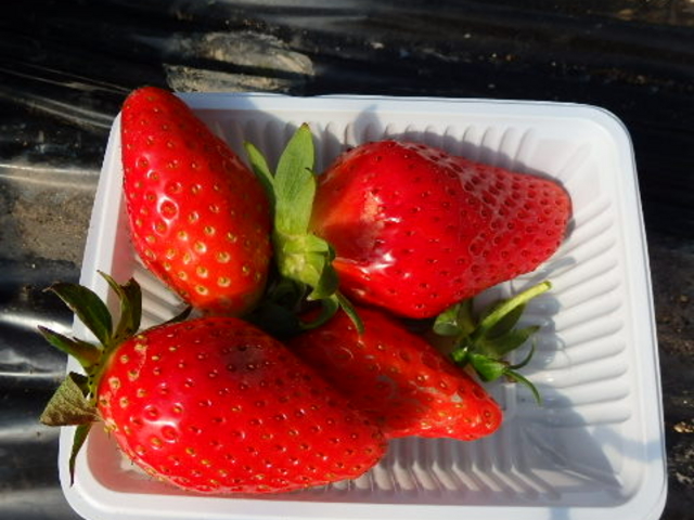 �_UraUraTour���s