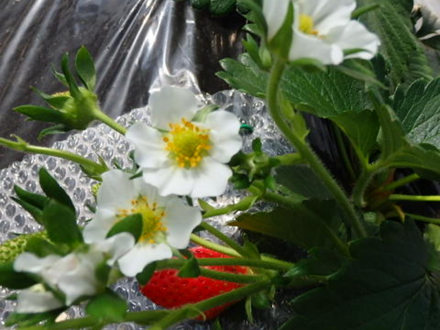 ��_UraUraTour���s