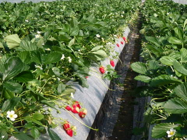 �n�E�X_UraUraTour���s