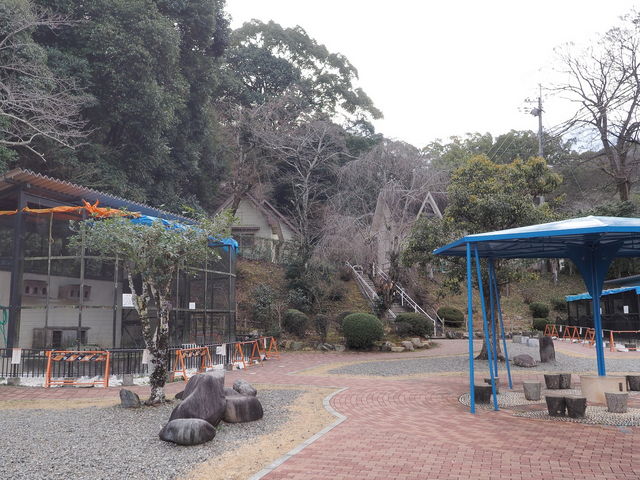 �������������_�������������