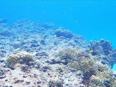 ₳̃}[v_Ngւ̓eʐ^3