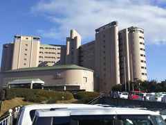 }RE̔lÉ̈䃊][gXpւ̓eʐ^1