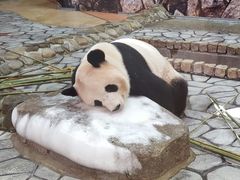 �A�h�x���`���[���[���h�̎ʐ^1