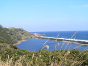 񂴂񂳂̏㍙̓eʐ^3