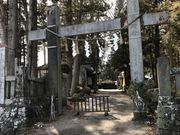 SHIN̏_Ёi쌧Ksj̓eʐ^1