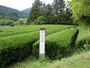 Ƃ-񂳂̗j̗c̓eʐ^2