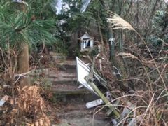 t-t-t-t̐_Rւ̓eʐ^2